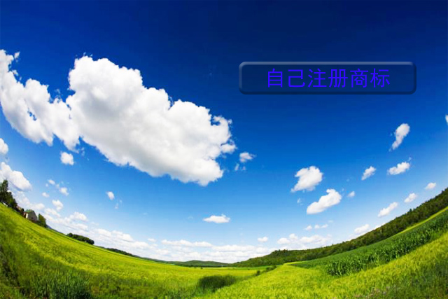 商標注冊是自己注冊好,還是找北京商標注冊公司注冊? 商標注冊是自己注冊好,還是找北京商標注冊公司注冊?