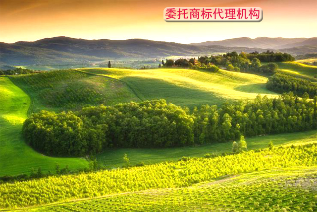 商標代理機構