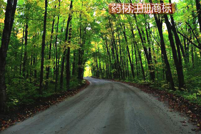 藥材商標 藥材商標