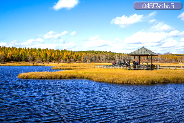 申請注冊商標，商標取名有什么技巧?
