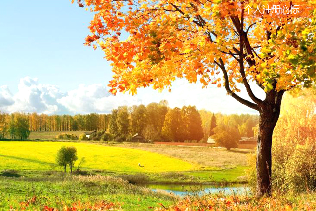 個人可以申請商標注冊嗎? 個人可以申請商標注冊嗎?