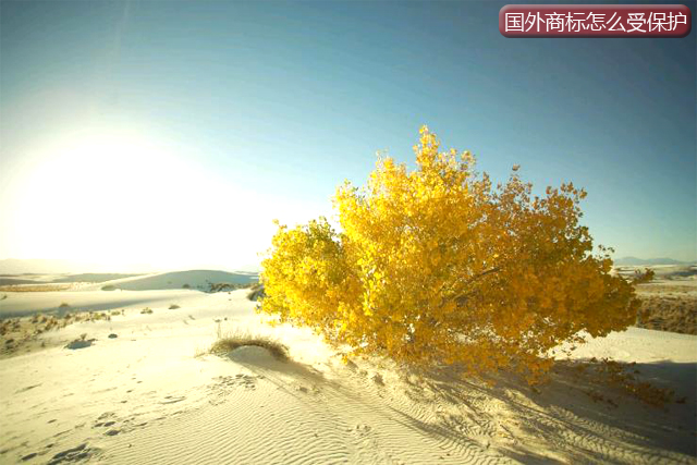 國外注冊商標可以在中國受保護嗎?