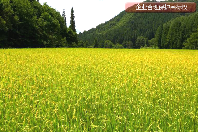 企業應該如何合理使用注冊商標不被侵權?