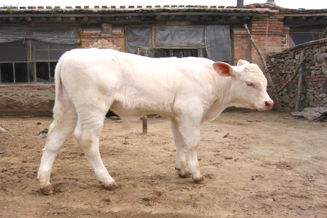 在哪里注冊商標(biāo) 在哪里注冊商標(biāo)